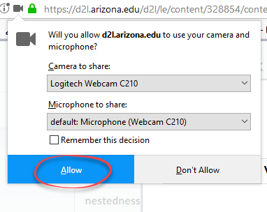 screenshot of browser requested access to camera and microphone with Allow circled