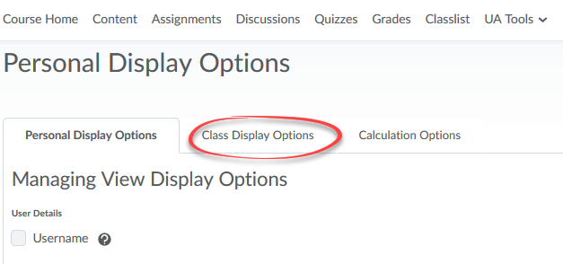 image of available tabs after settings is clicked with class display optons tab circled