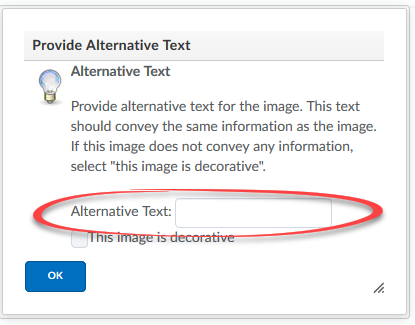 Alternative Text box with the alternative text field circled