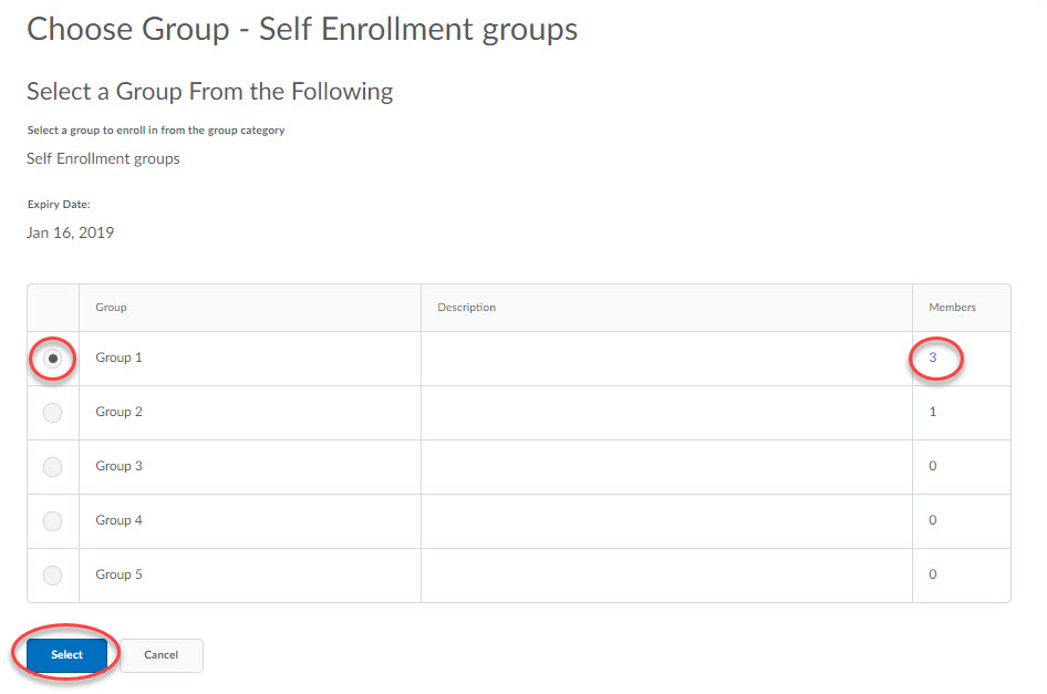 Screenshot of student view of My Groups.