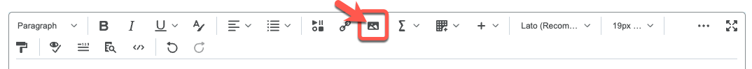 Click the Insert Image icon to add an image to your discussion post.