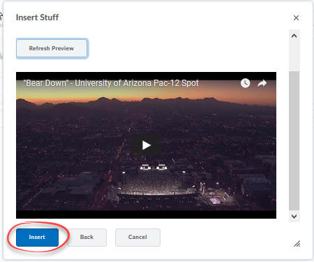 Screenshot of a preview of the embedded video with the Insert button circled