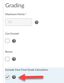 Screenshot of Edit Item screen with red arrow pointing to (checked) box under "Exclude from Final Grade Calculation".