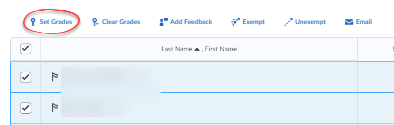 Screenshot of Enter Grades with the Set Grades link circled in red.