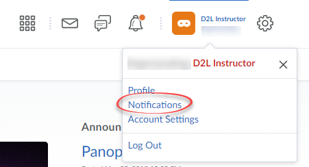 Screenshot of User Settings with Notifications circled.