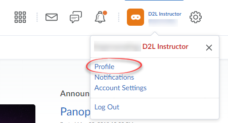Screenshot of User Settings with Profile circled.