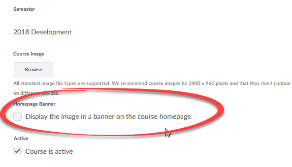 Image of course offerinf information page with display image as banner checkbox circled