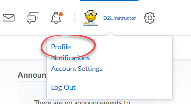 image of personal menu dropdown wil profiel circled