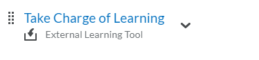 External Learning Tool