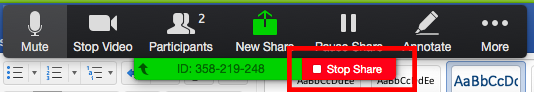 Participant Share Toolbar Stop Share Button