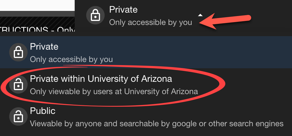 Private within the University of Arizona circled