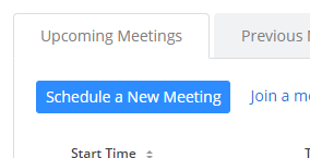 Schedule a New Meeting Button