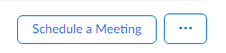 Schedule a New Meeting Button