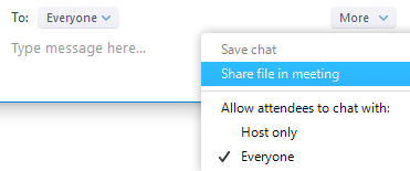 Share file in chat option