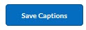 Save Captions button