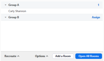 Zoom Breakout Rooms