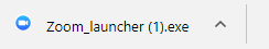 Zoom PC Install File