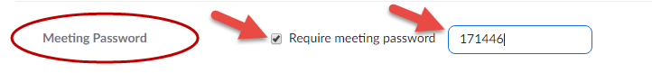 Zoom Meeting Password Option