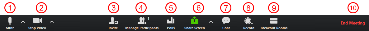 Zoom Meeting Toolbar