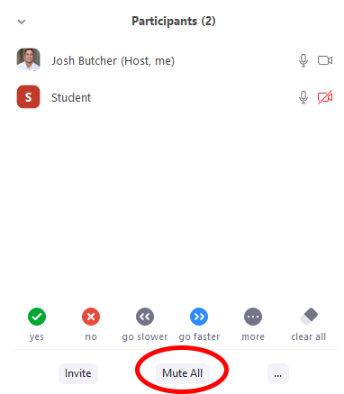 Zoom Mute All Button