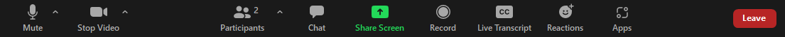 Zoom Participant Toolbar
