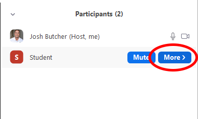 Zoom Participants More Button
