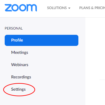 Zoom Settings link