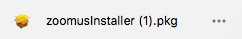Zoom Mac Install File