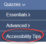 accessibility tips circled in help menu