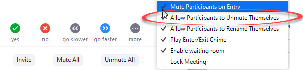 allow participants to unmute themselves option circled in menu