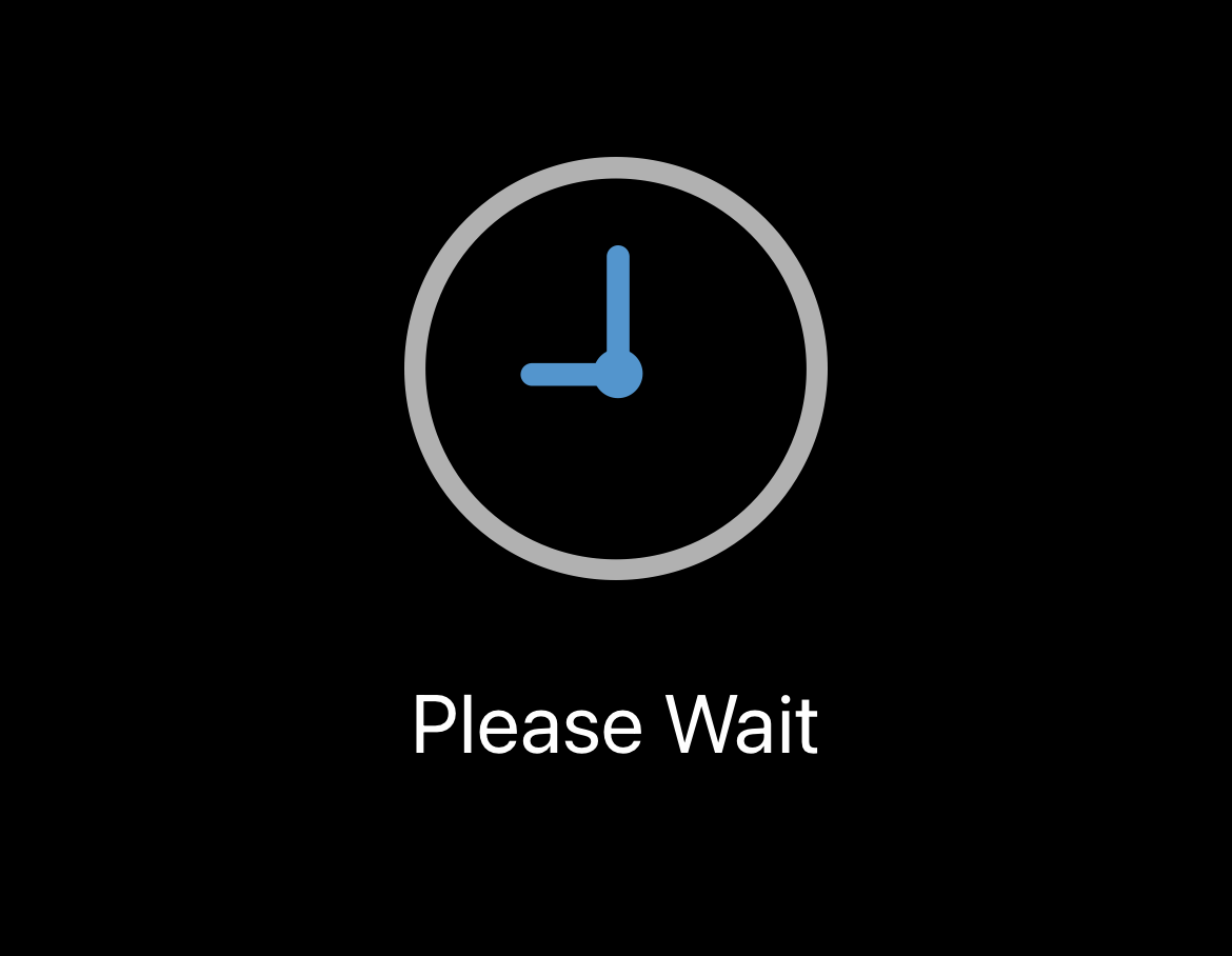 Image of Please Wait screen