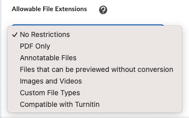 screenshot of the allowable file extensions choices