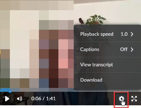 Adjust Playback speed, Captions, View Transcript, Download