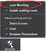 Lock Meeting option circled in red.