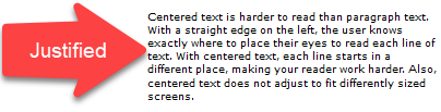 paragraph text example