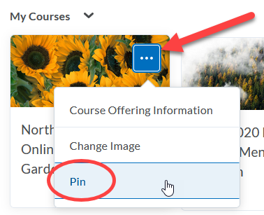 Click the three dots to pin the course to the top of the Home screen