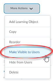 make visible to users selected in menu