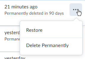 Restore or Delete Permanently