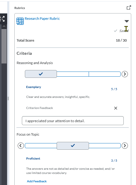 screenshot of the rubric scoring tool with the level for two criterion showing as well as the total score.