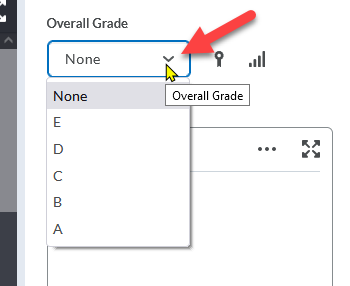 Image of selectbox letter grade options