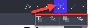 The text tool selected with an arrow pointing at it and the four options surrounded by a red rectangle